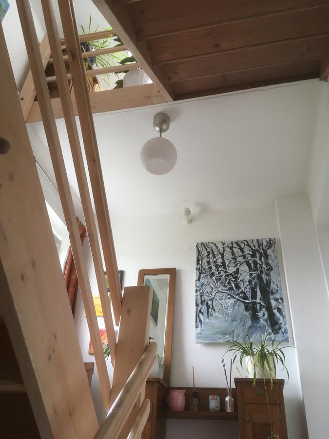 Atelierwohnung Jirana 살펠덴암스타이너르넨미어 외부 사진